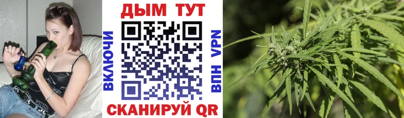 Шишки марихуана сатива  где купить наркоту  Омск 